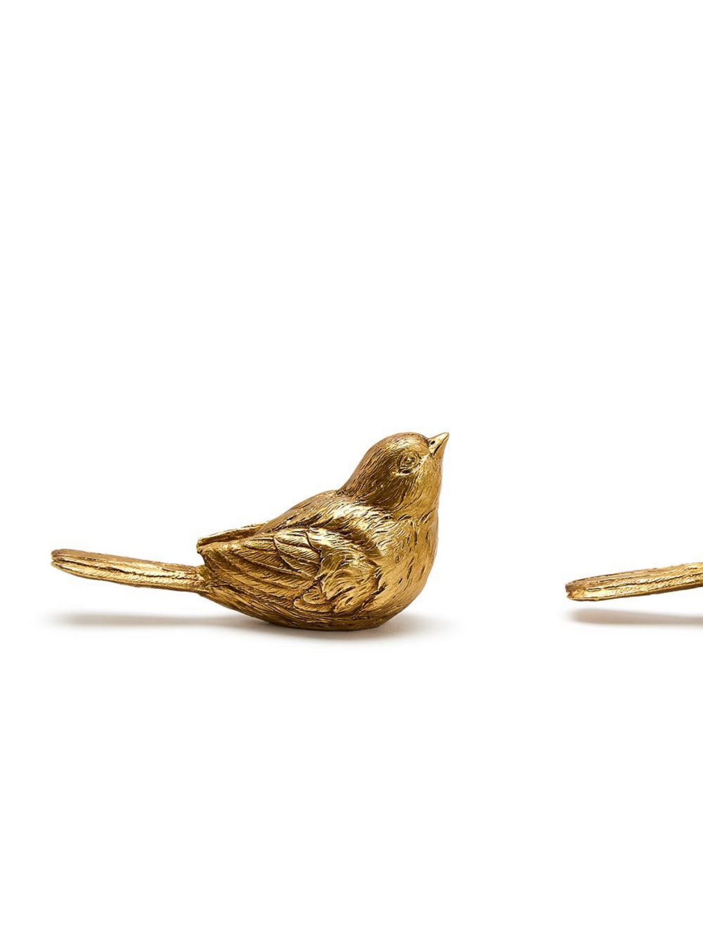 Gold Bird