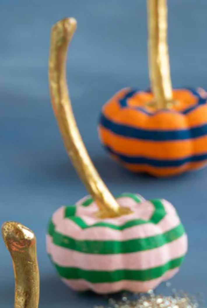 Parade of Pigment Pumpkin
