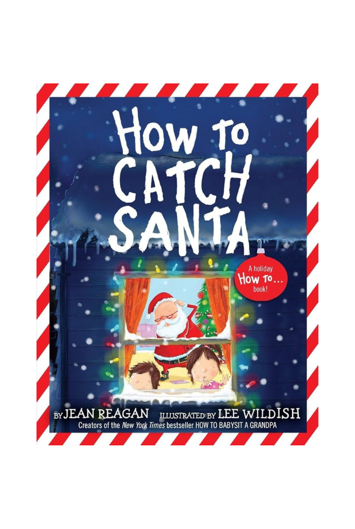 How to Catch Santa Book