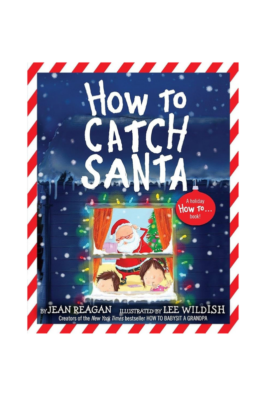 How to Catch Santa Book
