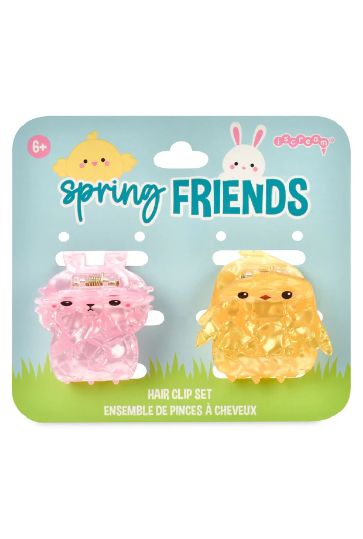 Spring Friends Hair Clips