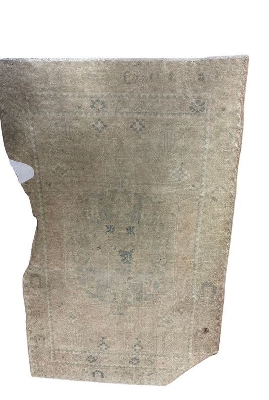 Turkish Rug 3x5- Neutral