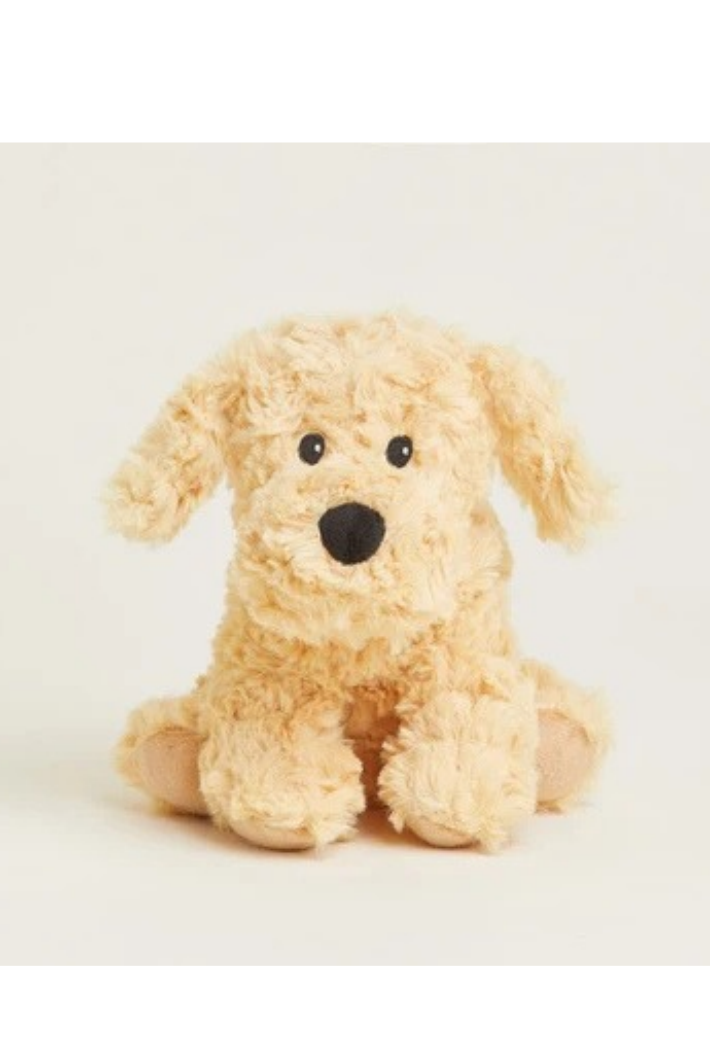 Golden Dog Warmies Junior