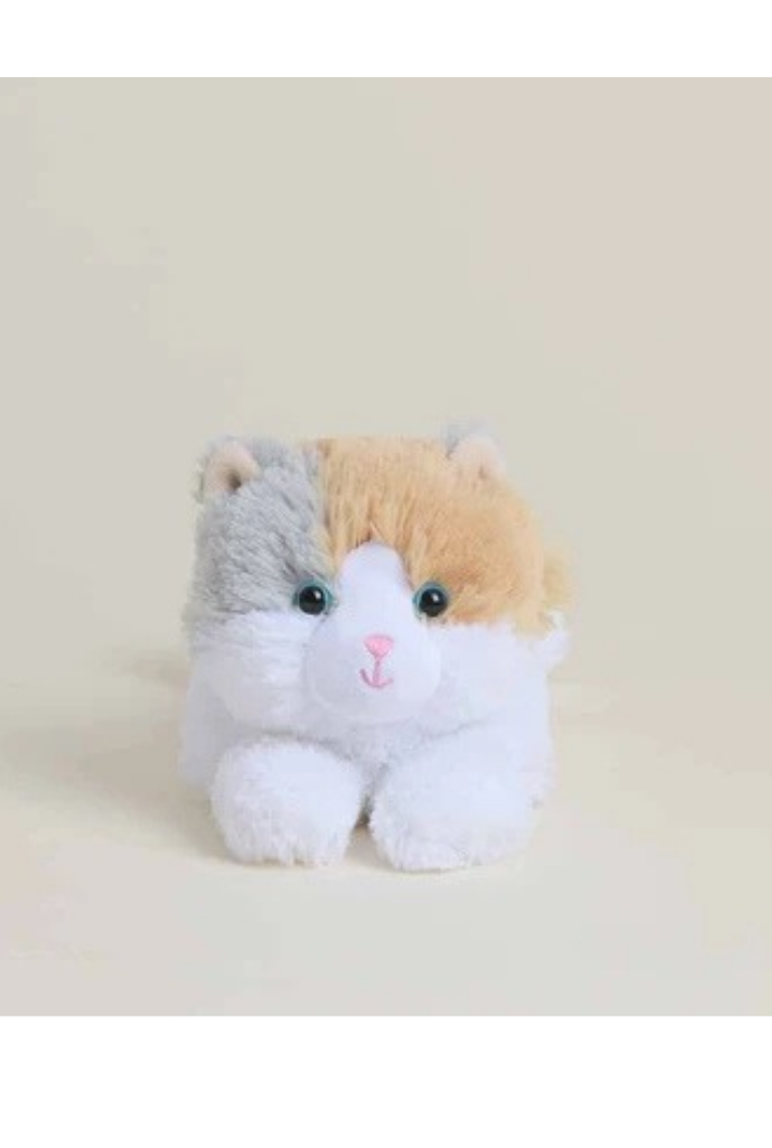 Calico Cat Warmies Junior