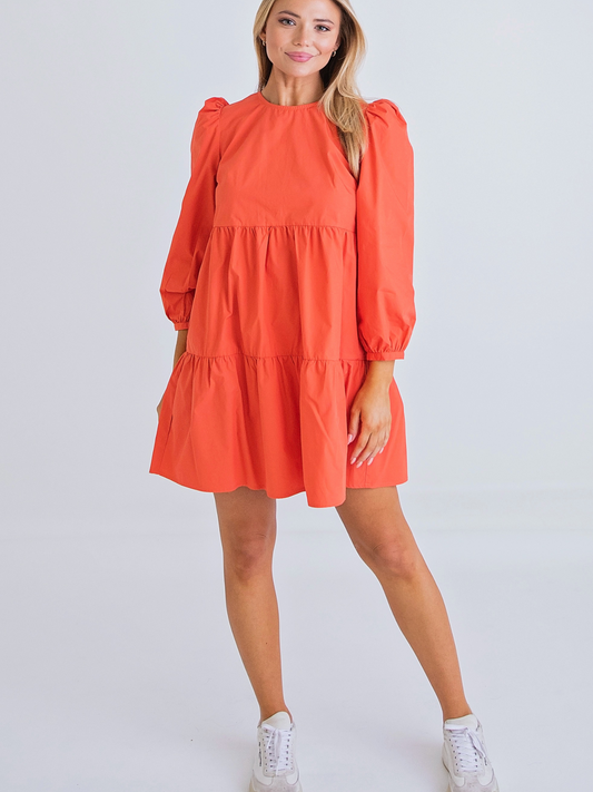 Orange Basic Dress Long Sleeve