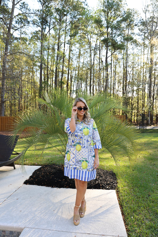 The Meeting Street Dress