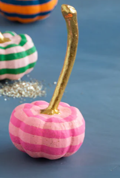 Parade of Pigment Pumpkin