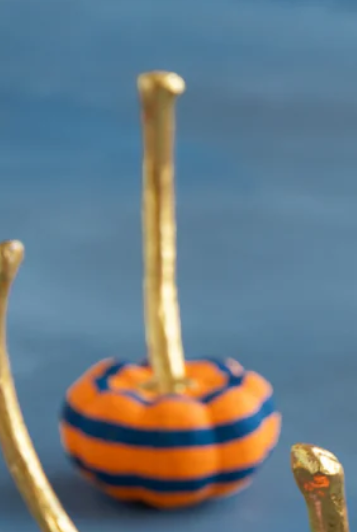 Parade of Pigment Pumpkin