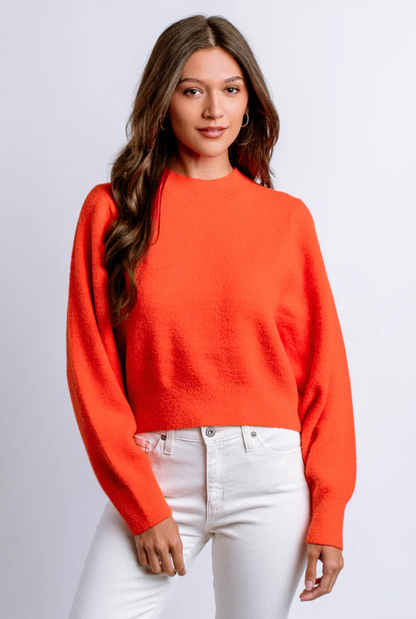 Carrara Solid Sweater