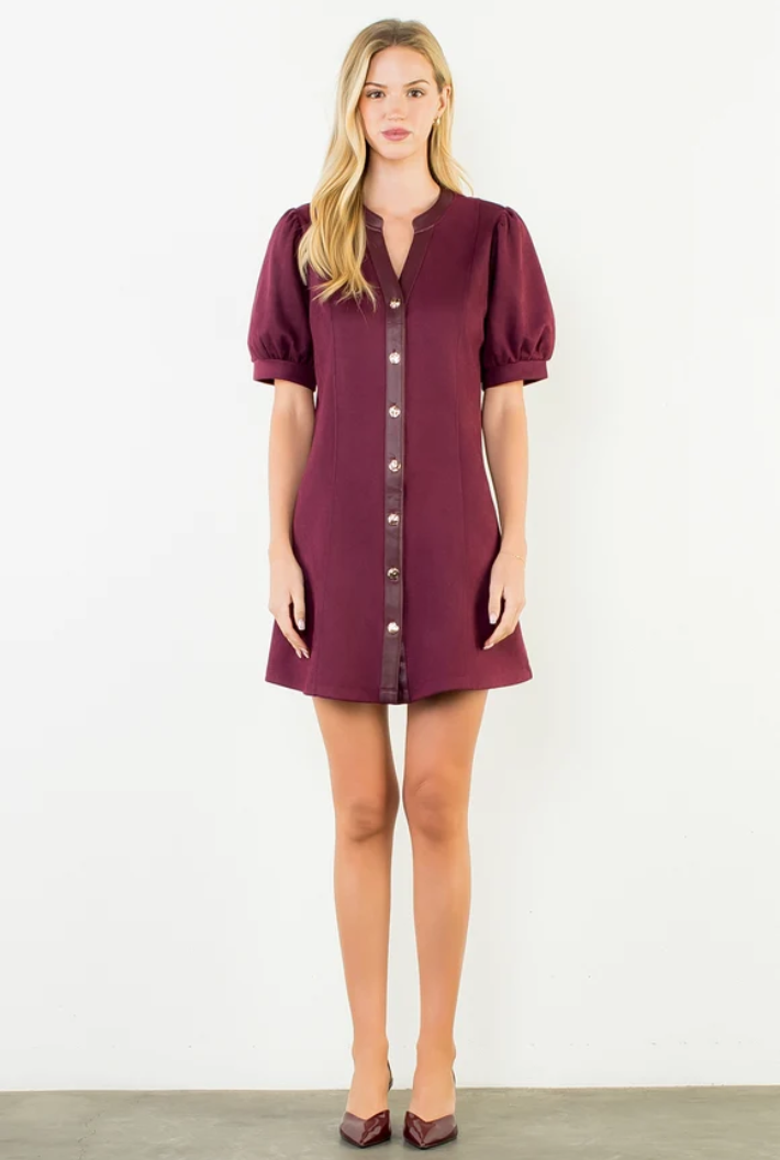 Serena Suede Dress